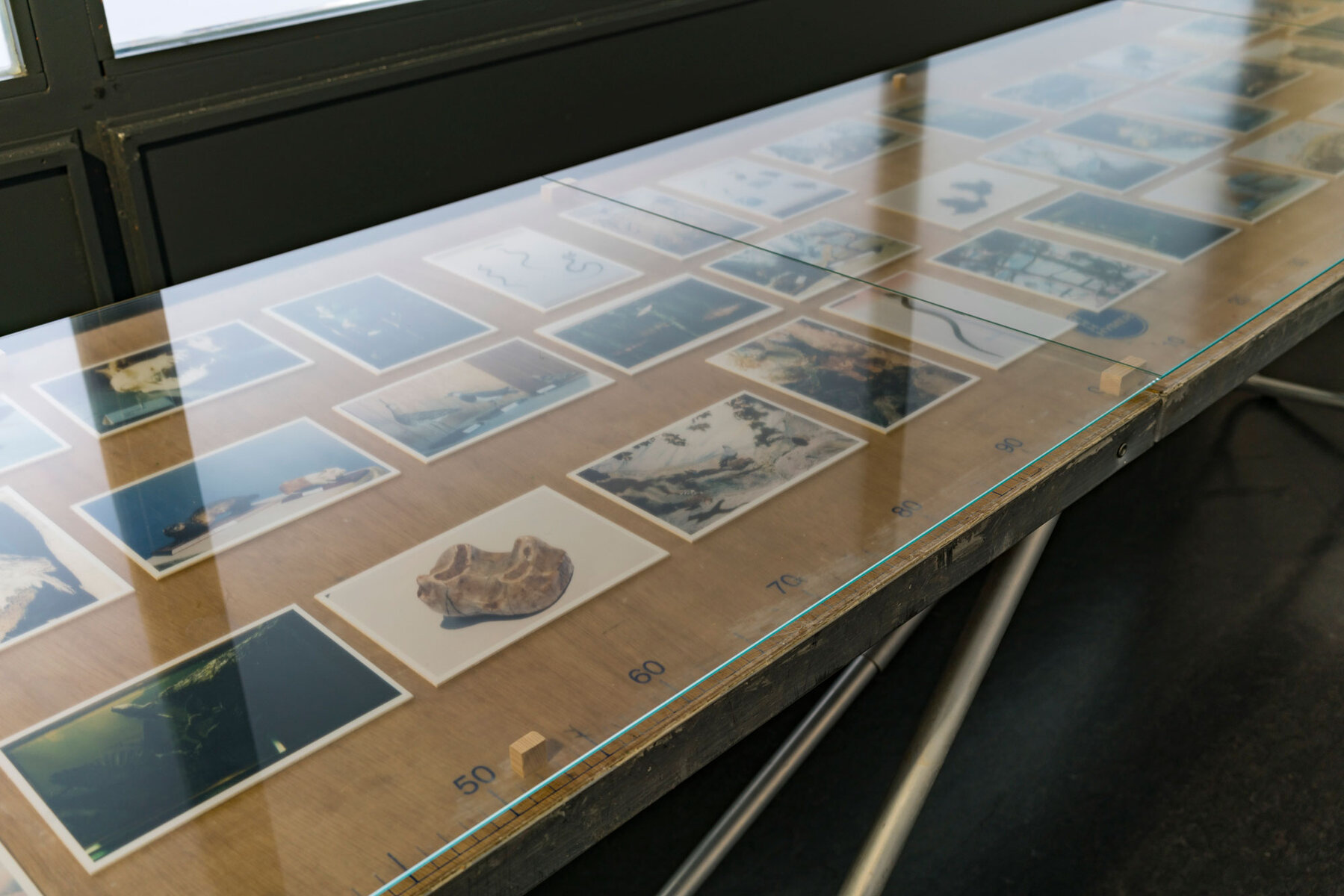 Special Edition (ex-Natural History Museum of Kosovo)